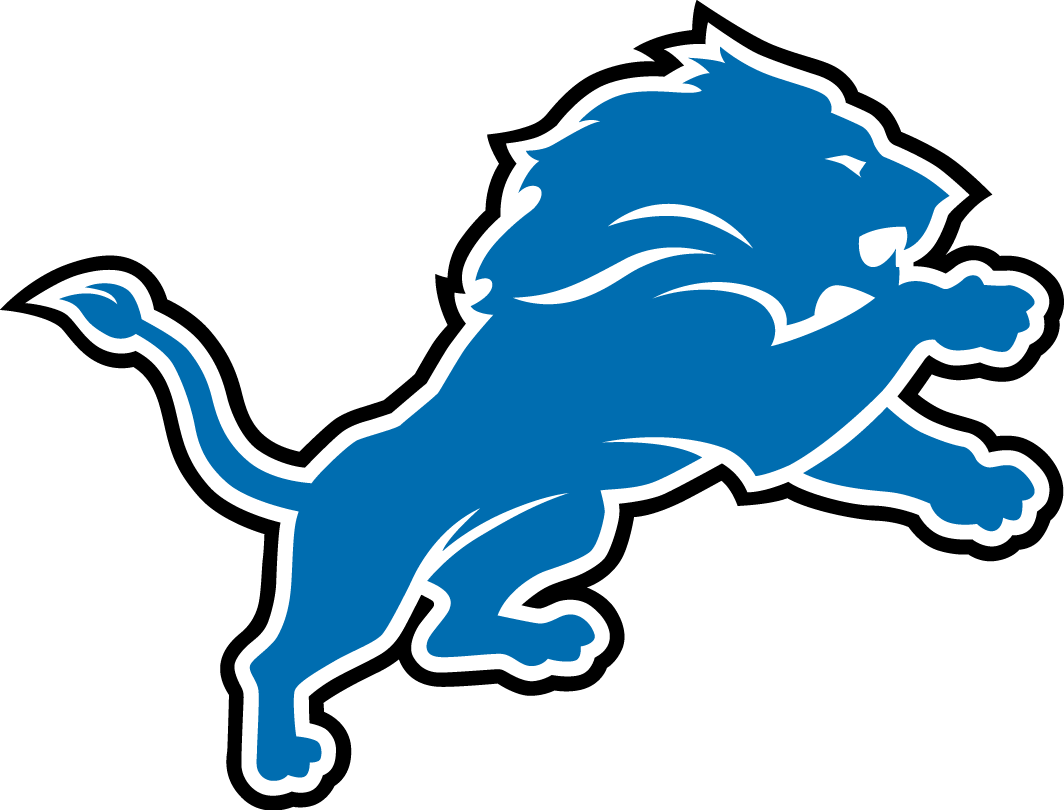 Detroit Lions 2009-2016 Primary Logo DIY iron on transfer (heat transfer)